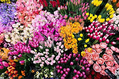 《龙腾世纪4》开发者谈游戏失败：EA偏心把资源给了圣歌